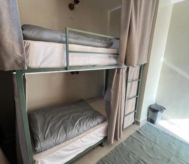 Abdin Hostel | Green hostel