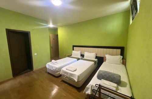Telavi Hotel | Green Hotel ANG