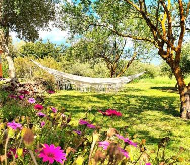 Orosei Hotel | Green Hotel "I Mandorli di Dommos"