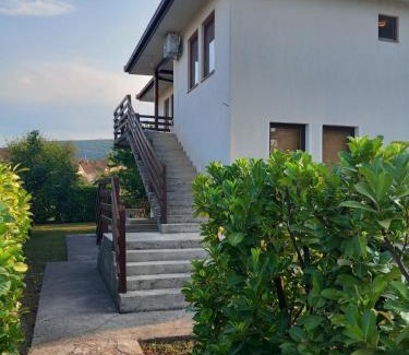 Bileca Apartment | Green house
