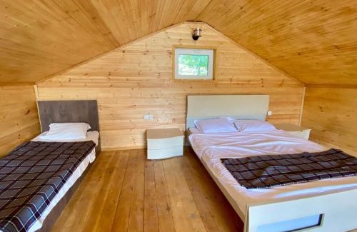 Kutaisi House | Green house