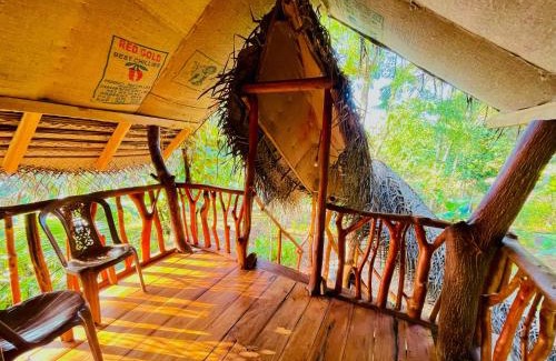 Sigiriya Cabin | Green land tree house sigiriya