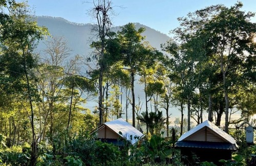 Candikuning Cabin | Green Lava Glamping Bedugul