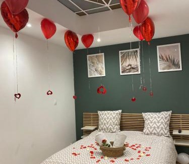 Tourcoing Apartment | Green Love Suite