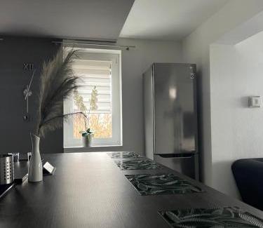 Tiszaujvaros Apartment | Green Penthouse