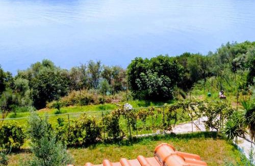 Kavala House | GREEN SEA SIDE VILLA