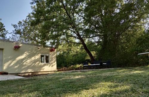 Radanovici Apartment | Green Side