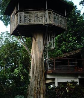 Pengosekan Resort | Green Tree House Villa Ubud
