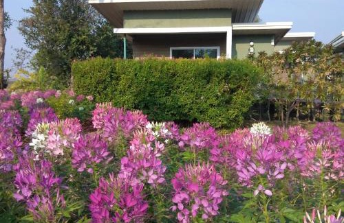 Phlap Phla Resort | Green Two Resort