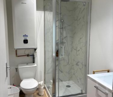 Couzon-au-Mont-d'Or Apartment | Green view studio