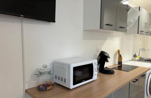Couzon-au-Mont-d'Or Apartment | Green view studio