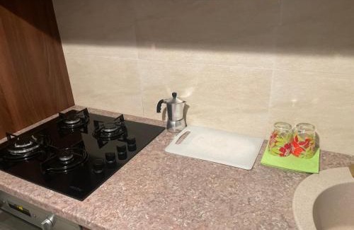 Sector 1 Apartment | Greenfield Baneasa Apartment in Bucharest