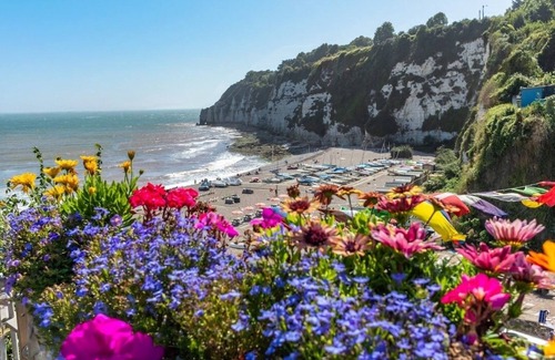 Beer House | Greenhill Cottage | Sea Views & Thatched Charm