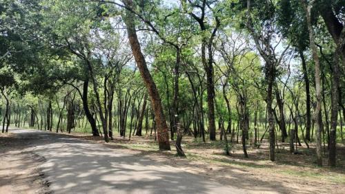 Maraiyur Hotel | Greenmount Residency