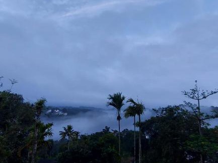 Chithirapuram Bed & Breakfast | greenpepperhomestay munnar
