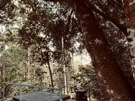 Kalloor House | Greenstone homestay Wayanad
