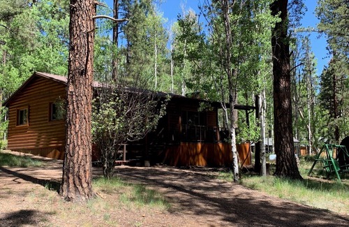 Greer Cabin | Greer Hideaway Cabin (formerly Sargent's Hideaway!)