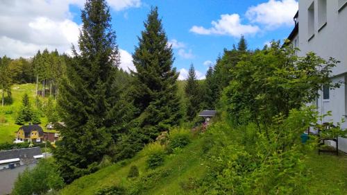 Klingenthal House | Greizer Kammhütte Gaststätte & Pension
