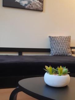 Quartier Hyper-Centre Apartment | Grenoble hyper-centre + WiFi + Netflix