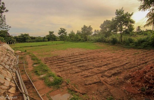 Hosur House | Grenville Farm