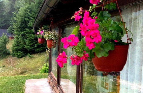 Zlatibor Cabin | Griffon lake house,Zlatarsko jezero