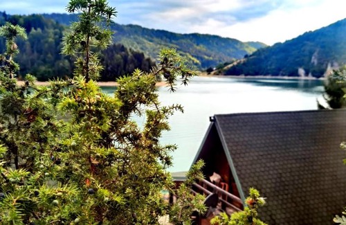 Zlatibor Cabin | Griffon lake house,Zlatarsko jezero