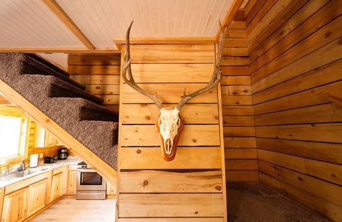 Kenai Cabin | Grill|Close to Fishing|Cabin 8