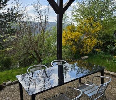 Triberg im Schwarzwald Apartment | Große Ferienwohnung in ruhiger Lage mit toller Aussicht in Triberg