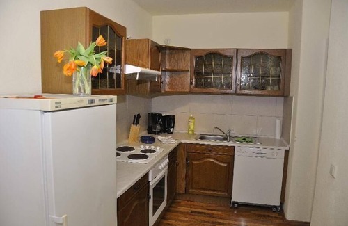 Innere Neustadt Apartment | Große Fewo Dresden Neustadt/Zentrum L9