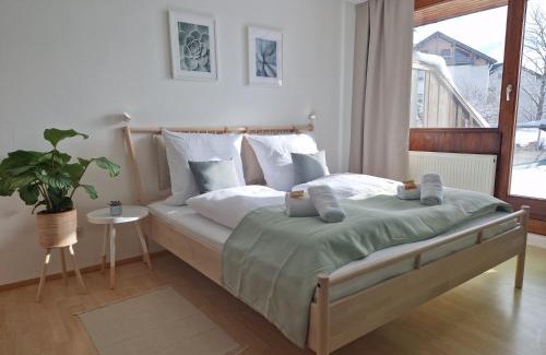 Schonach im Schwarzwald Apartment | Große Terrasse, Netflix, 5min zum Skilift, 6 Personen, Waldnah,