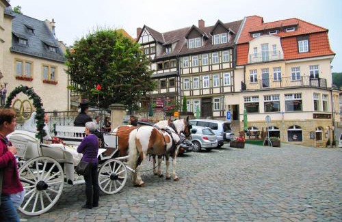 Blankenburg Apartment | Große Wohnung mit Terrasse im Altstadtzentrum - Ferienwohnung Chiplakoff