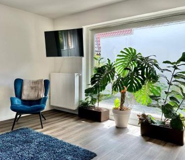 Haarenesch Bed & Breakfast | Großes City-Ferienhaus mit Terrasse, Grill und Parkplatz F19