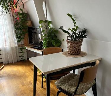 Alkmaar Bed & Breakfast | Groenlokaal