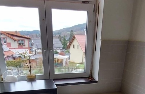 Friedrichroda Condo | Ground floor apartment with parquet, fireplace, terrace and garden