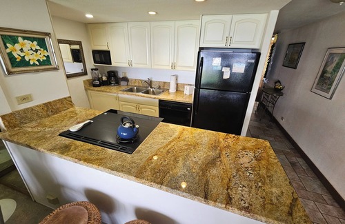 Honokowai Condo | Ground floor! Swim with the turtles! Book now for Fall!