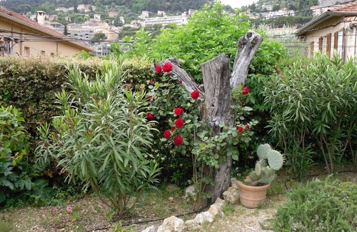 Grasse Apartment | Ground floor villa for 3 people