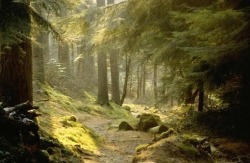 Rashfield House | Grouse Lodge