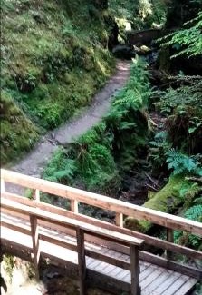 Rashfield House | Grouse Lodge