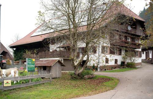 Elzach House | Grundhof