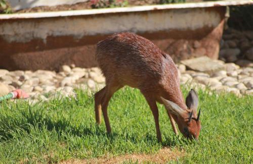 De Hoop House | Grysbok Self Catering Accommodation