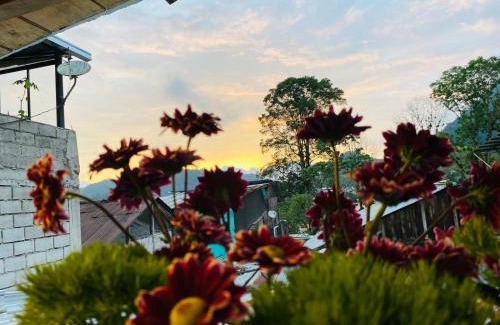 Mindo House | Guayabo Hostal Mindo