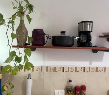 Comalcalco Apartment | Guayacán