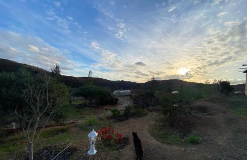 Bir Ennasar House | Guest farm Oulad Chmicha