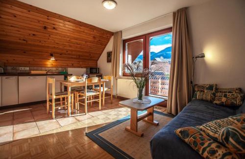 Bohinjska Bistrica Apartment | Guest House Alenka