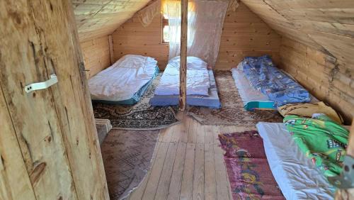 Albania Other | Guest House Balcina