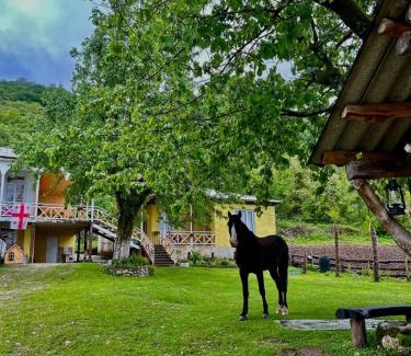 Salkhino House | Guest House Balda