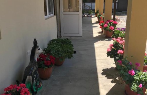Alakhadzi House | Guest house Black Sea