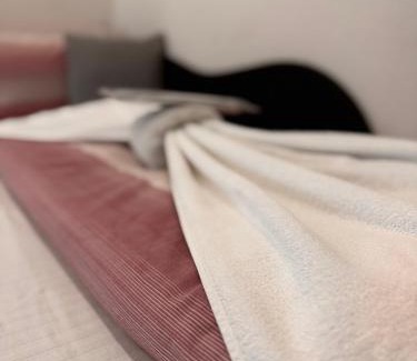 Posavina Canton Apartment | Guest House deluxe