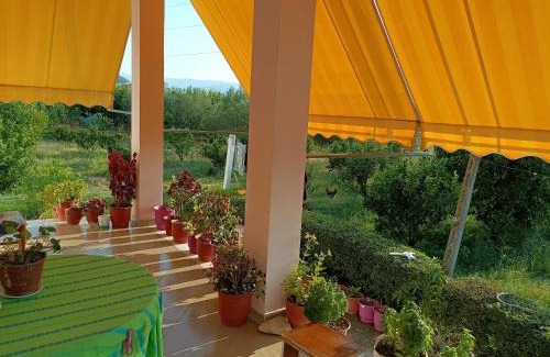 Otllak House | Guest house Fetie