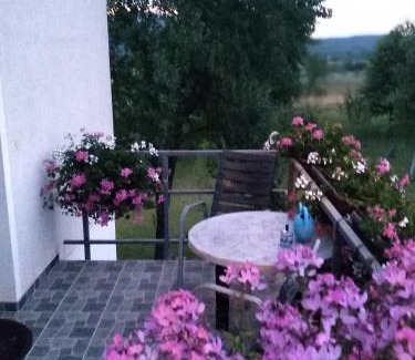 Irinovac House | Guest House First Stop